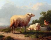 Sheep In A Meadow - 尤金·约瑟夫·维保盖文